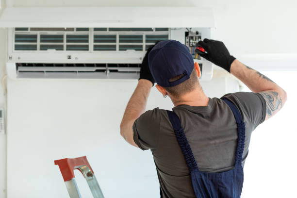 Best Air Duct Mold Removal  in Edgewater, FL