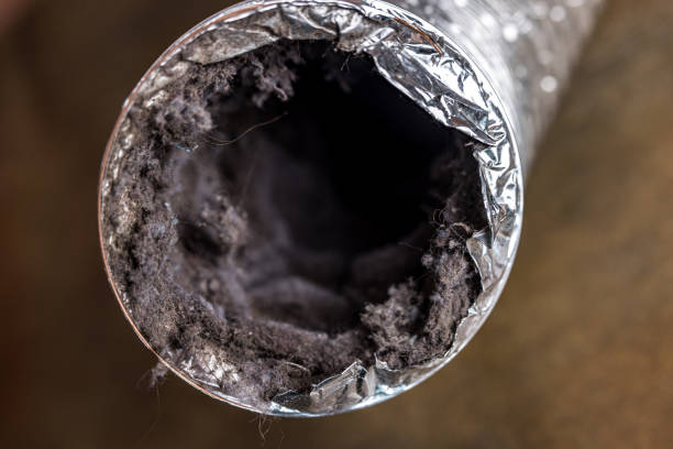 Best HVAC System Cleaning  in Edgewater, FL