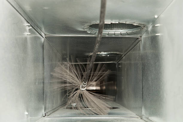 Best Affordable Duct Cleaning Services  in Edgewater, FL